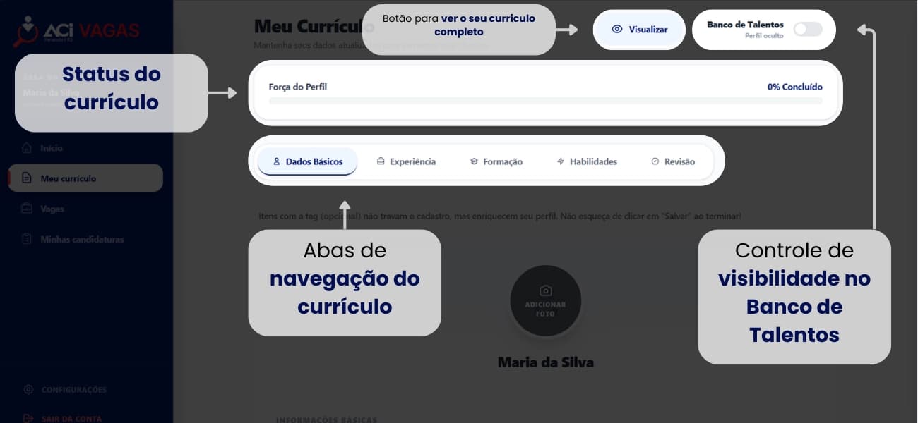 3. O Painel do Seu Currículo
